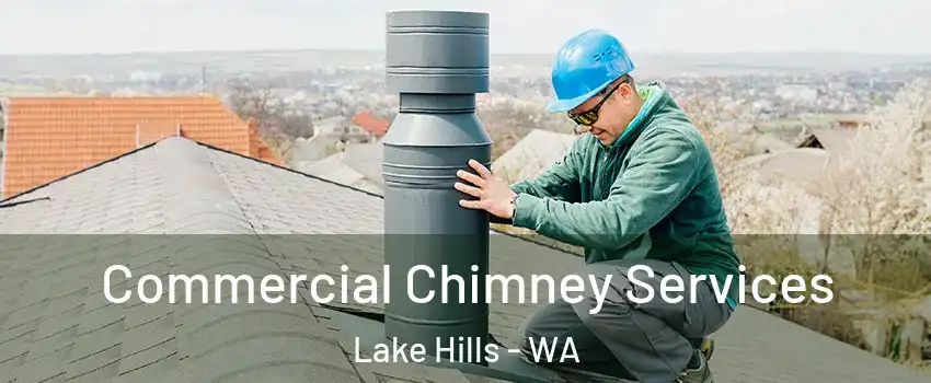 Commercial Chimney Services Lake Hills - WA