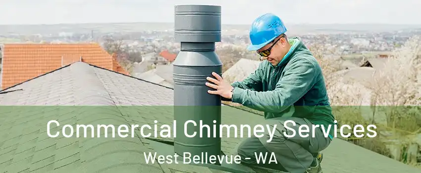 Commercial Chimney Services West Bellevue - WA