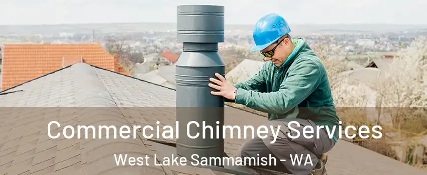 Commercial Chimney Services West Lake Sammamish - WA