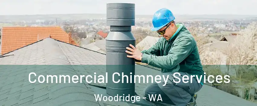 Commercial Chimney Services Woodridge - WA