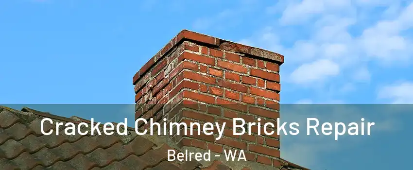 Cracked Chimney Bricks Repair Belred - WA