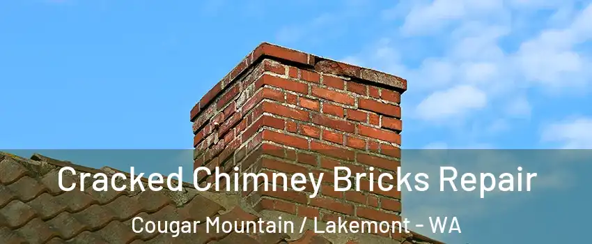 Cracked Chimney Bricks Repair Cougar Mountain / Lakemont - WA