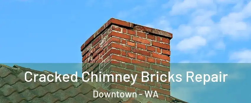 Cracked Chimney Bricks Repair Downtown - WA