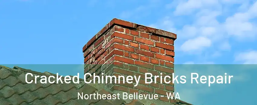 Cracked Chimney Bricks Repair Northeast Bellevue - WA