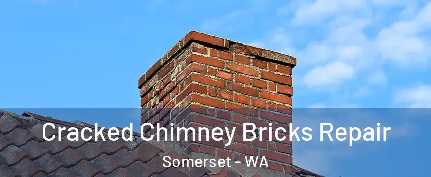 Cracked Chimney Bricks Repair Somerset - WA