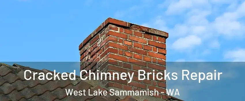 Cracked Chimney Bricks Repair West Lake Sammamish - WA