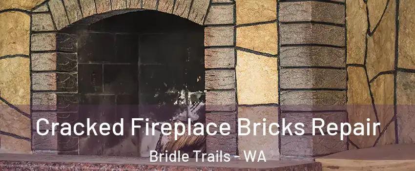 Cracked Fireplace Bricks Repair Bridle Trails - WA