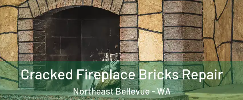 Cracked Fireplace Bricks Repair Northeast Bellevue - WA