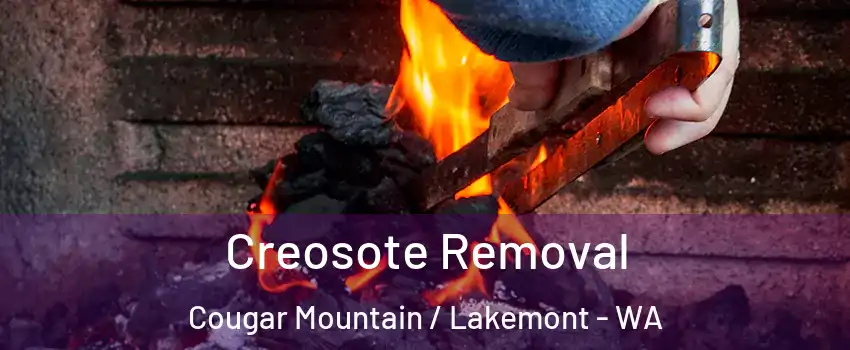 Creosote Removal Cougar Mountain / Lakemont - WA