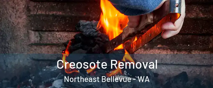 Creosote Removal Northeast Bellevue - WA