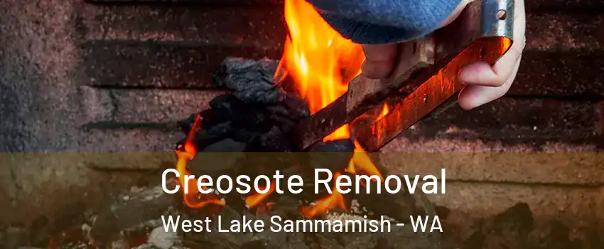 Creosote Removal West Lake Sammamish - WA