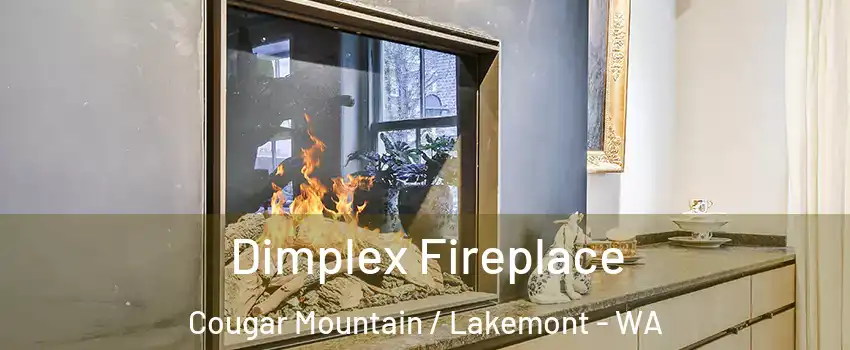 Dimplex Fireplace Cougar Mountain / Lakemont - WA