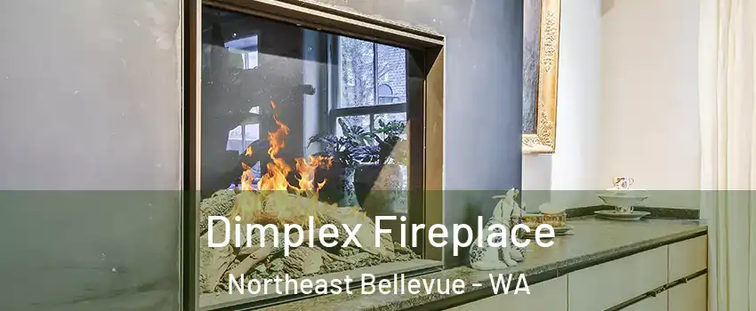 Dimplex Fireplace Northeast Bellevue - WA