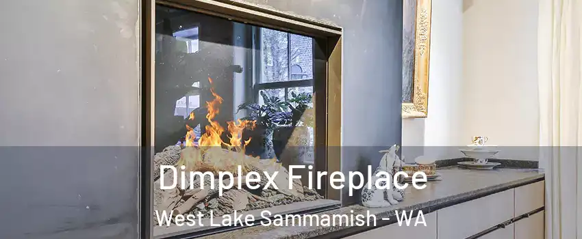 Dimplex Fireplace West Lake Sammamish - WA