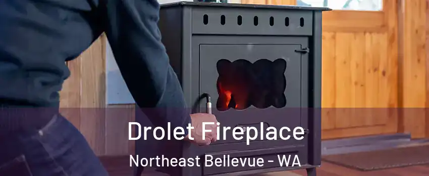 Drolet Fireplace Northeast Bellevue - WA