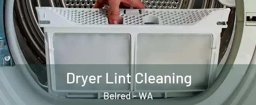 Dryer Lint Cleaning Belred - WA