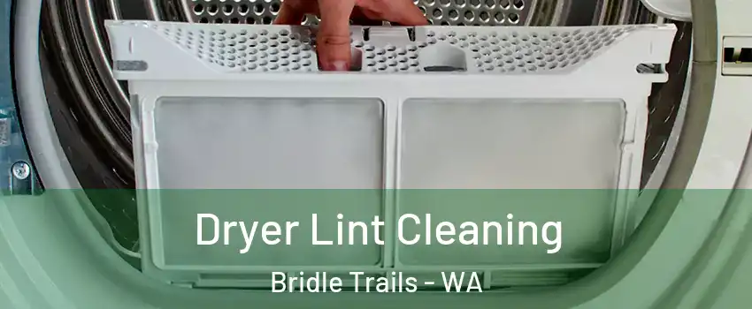 Dryer Lint Cleaning Bridle Trails - WA