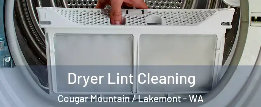 Dryer Lint Cleaning Cougar Mountain / Lakemont - WA