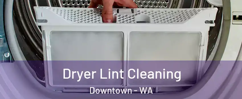 Dryer Lint Cleaning Downtown - WA