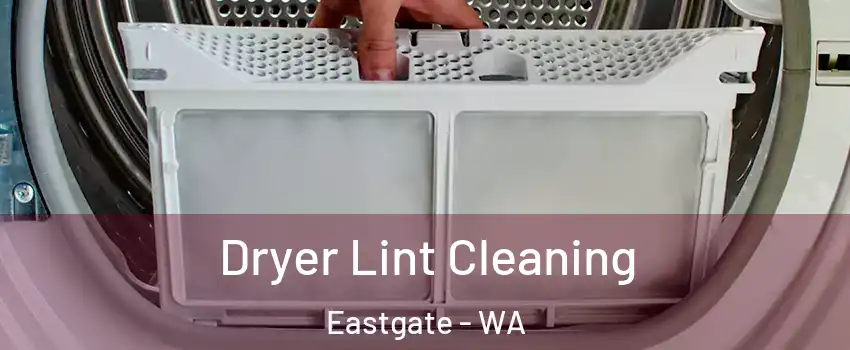 Dryer Lint Cleaning Eastgate - WA