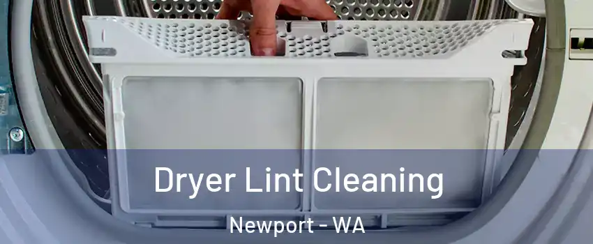 Dryer Lint Cleaning Newport - WA