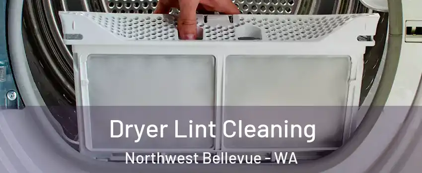 Dryer Lint Cleaning Northwest Bellevue - WA