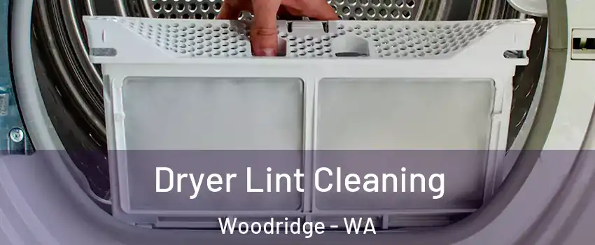 Dryer Lint Cleaning Woodridge - WA