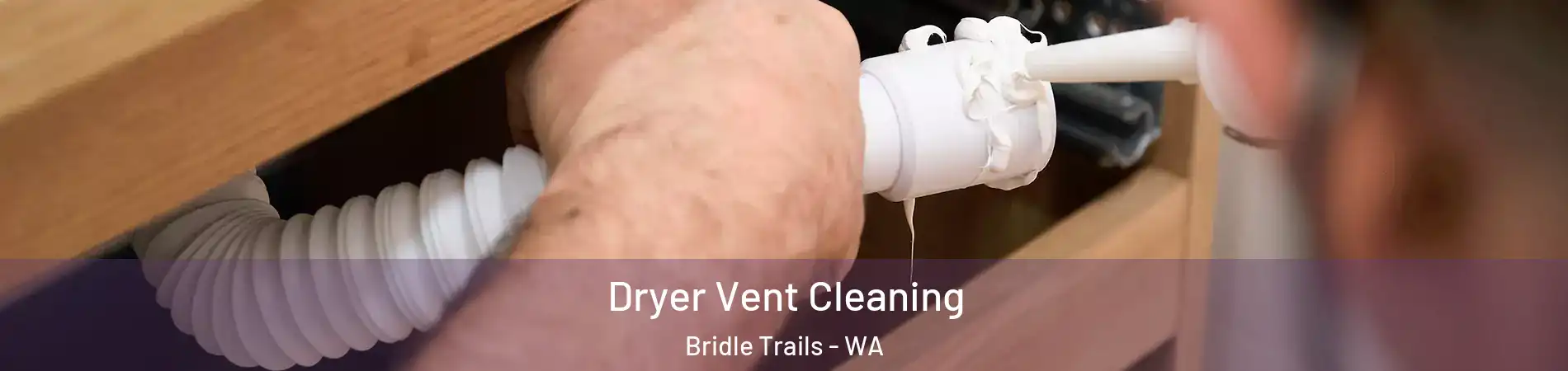 Dryer Vent Cleaning Bridle Trails - WA