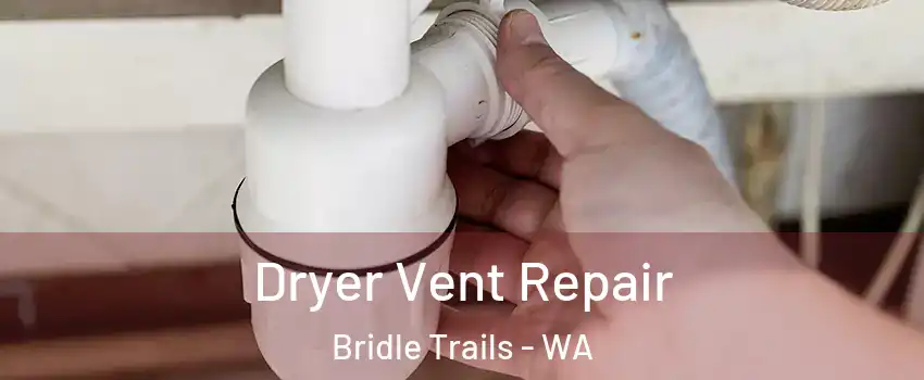 Dryer Vent Repair Bridle Trails - WA