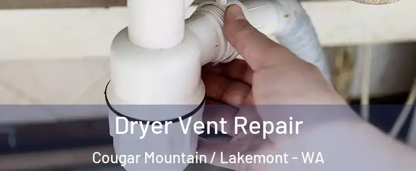 Dryer Vent Repair Cougar Mountain / Lakemont - WA