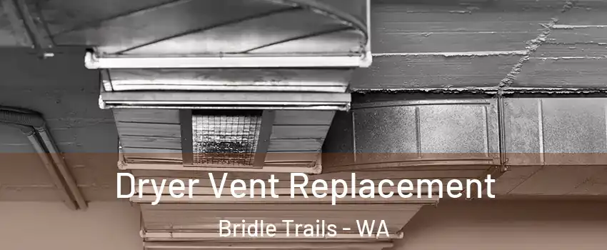 Dryer Vent Replacement Bridle Trails - WA