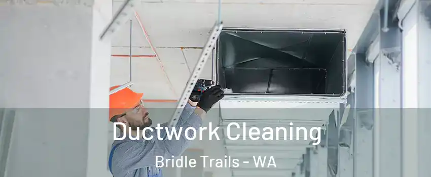 Ductwork Cleaning Bridle Trails - WA