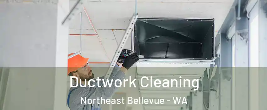 Ductwork Cleaning Northeast Bellevue - WA