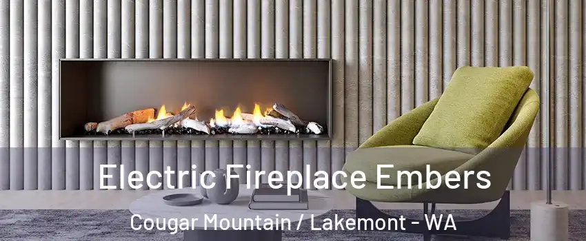 Electric Fireplace Embers Cougar Mountain / Lakemont - WA