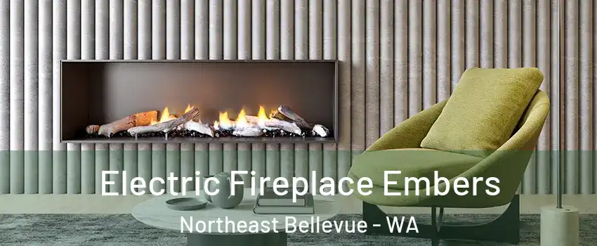 Electric Fireplace Embers Northeast Bellevue - WA