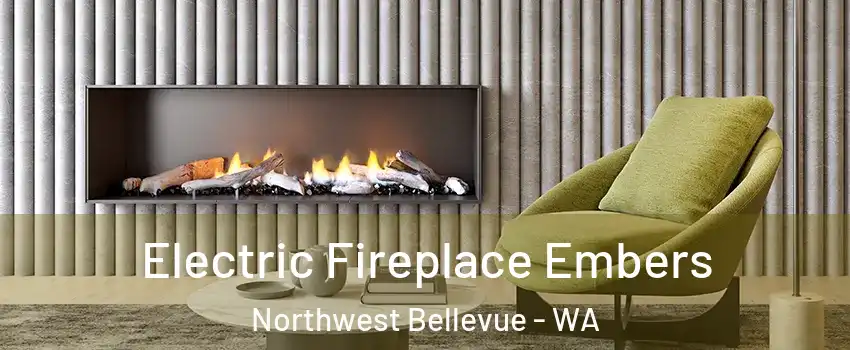 Electric Fireplace Embers Northwest Bellevue - WA