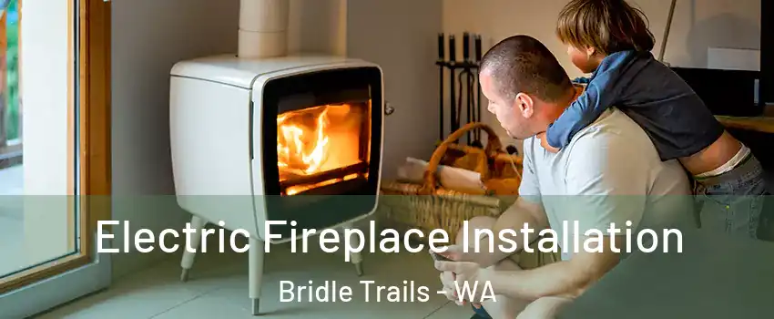 Electric Fireplace Installation Bridle Trails - WA