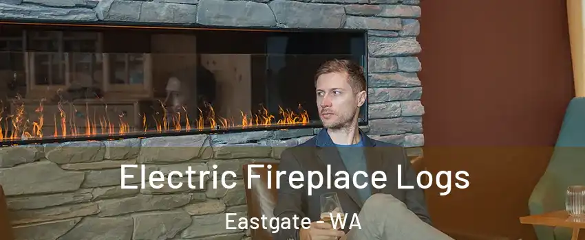 Electric Fireplace Logs Eastgate - WA