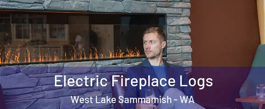 Electric Fireplace Logs West Lake Sammamish - WA