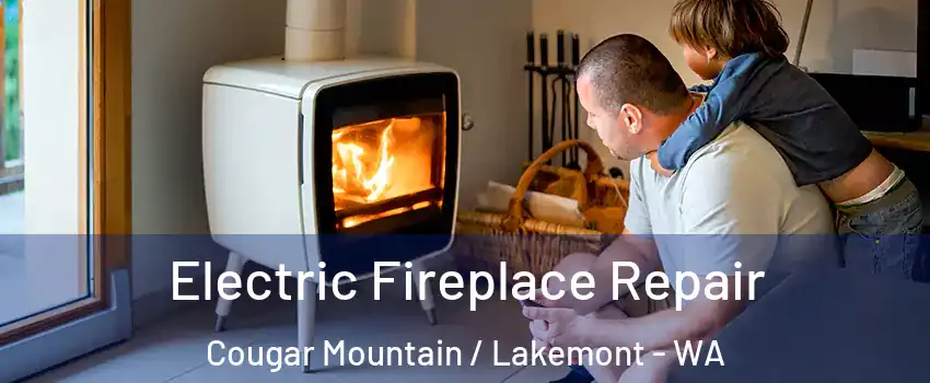 Electric Fireplace Repair Cougar Mountain / Lakemont - WA