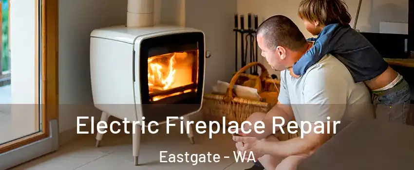 Electric Fireplace Repair Eastgate - WA