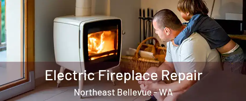 Electric Fireplace Repair Northeast Bellevue - WA