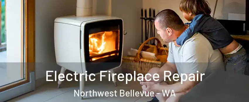 Electric Fireplace Repair Northwest Bellevue - WA