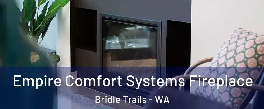 Empire Comfort Systems Fireplace Bridle Trails - WA