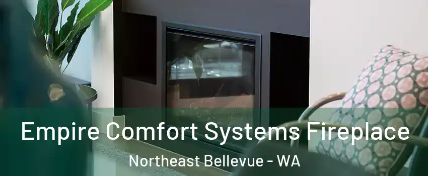 Empire Comfort Systems Fireplace Northeast Bellevue - WA