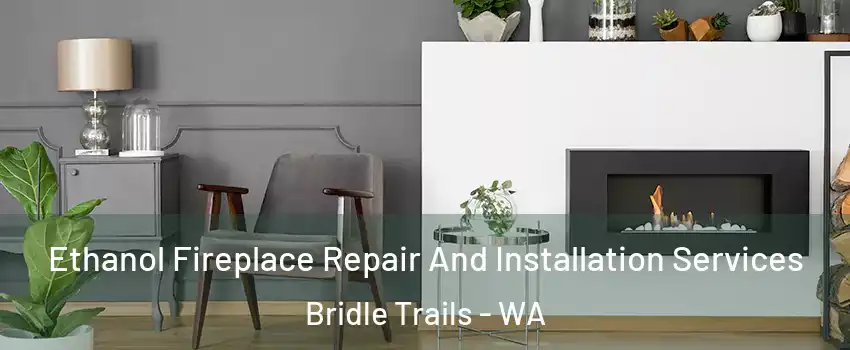 Ethanol Fireplace Repair And Installation Services Bridle Trails - WA