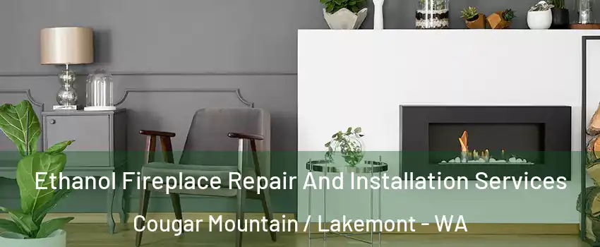 Ethanol Fireplace Repair And Installation Services Cougar Mountain / Lakemont - WA