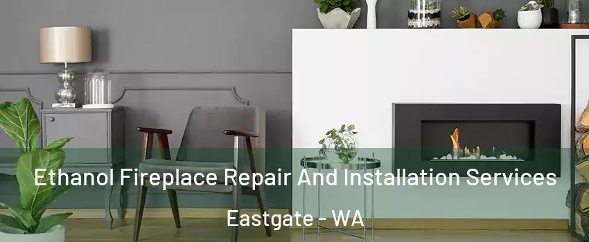 Ethanol Fireplace Repair And Installation Services Eastgate - WA