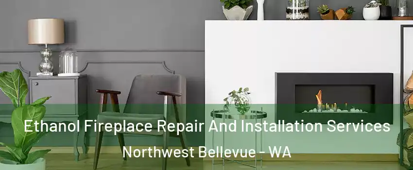 Ethanol Fireplace Repair And Installation Services Northwest Bellevue - WA