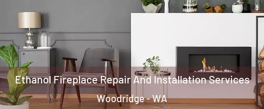 Ethanol Fireplace Repair And Installation Services Woodridge - WA